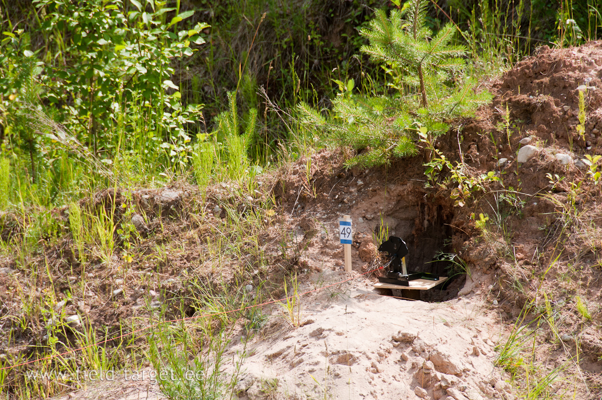 If Fox is not at home, then is possible to shoot Rat