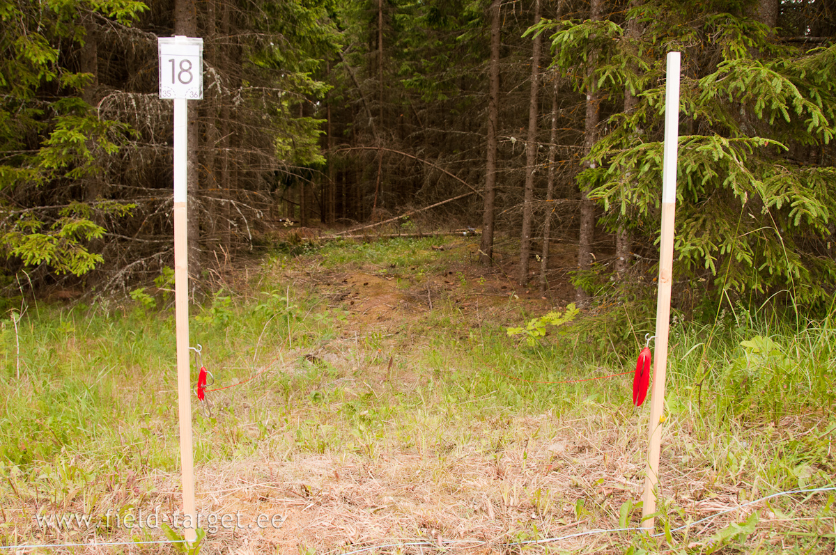 You see the two Targets? If you don´t see, how you shoot? Marchal?