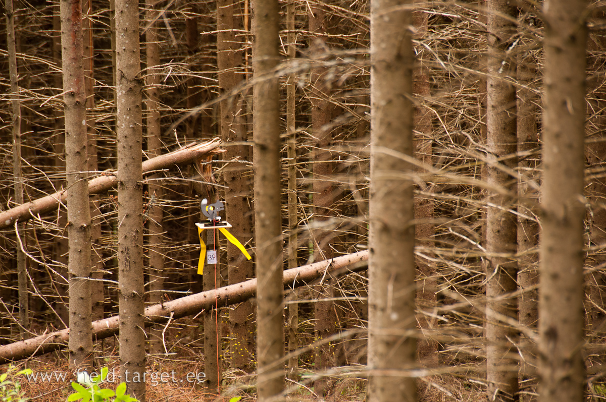 If you like the hit, follow the yellow Windicator