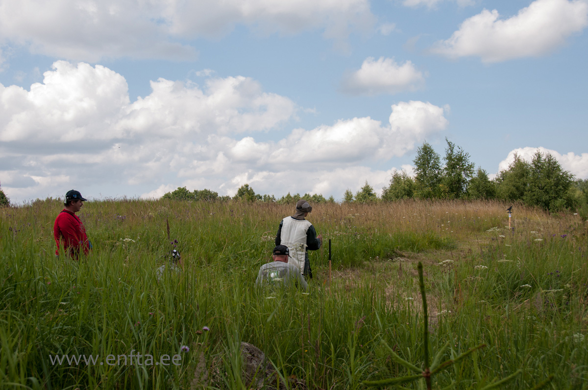 One bird - four hunters?