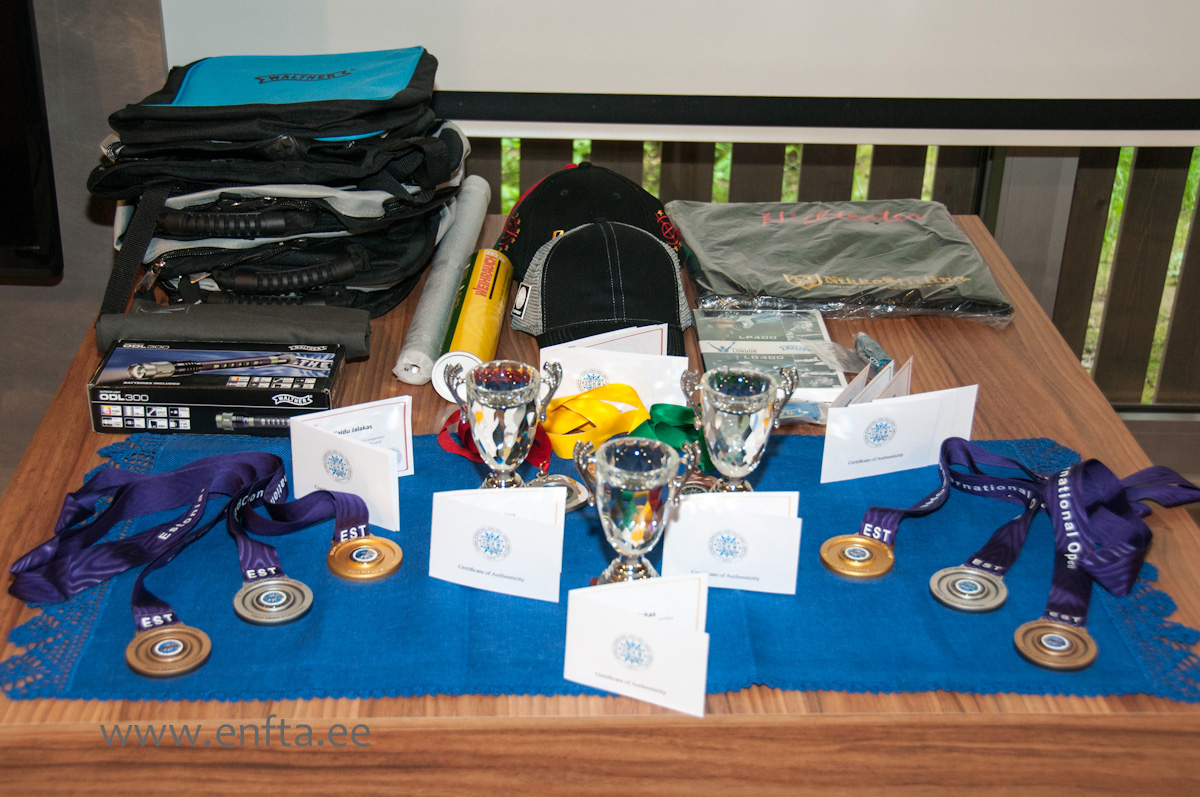 EIO 2013 medals and prizes