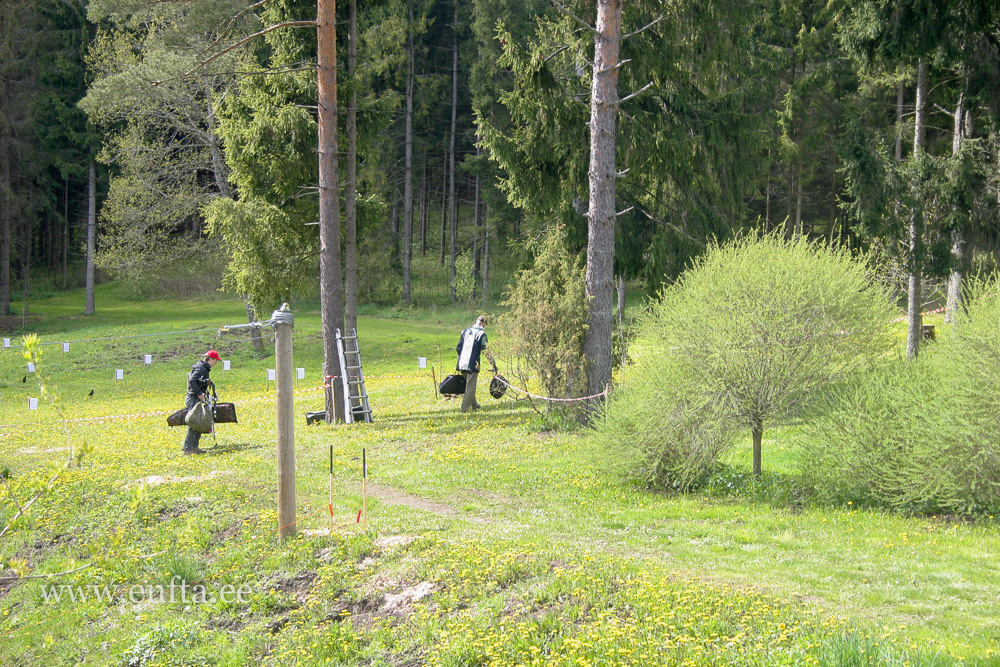 Tee mis tahad - järgi ei jõua
