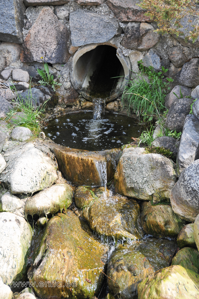 vesi rõõmsalt vulisemas