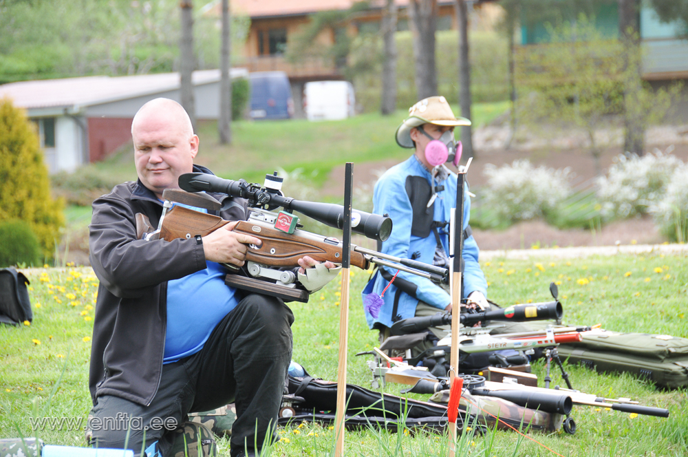 Pidin ma neid kuule pesema